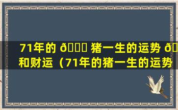 71年的 🐘 猪一生的运势 🐼 和财运（71年的猪一生的运势和财运怎么样）